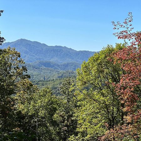 Stunning Views, Superb Atmosphere, Modern Amenities, In The Middle Of Nature Bryson City Buitenkant foto
