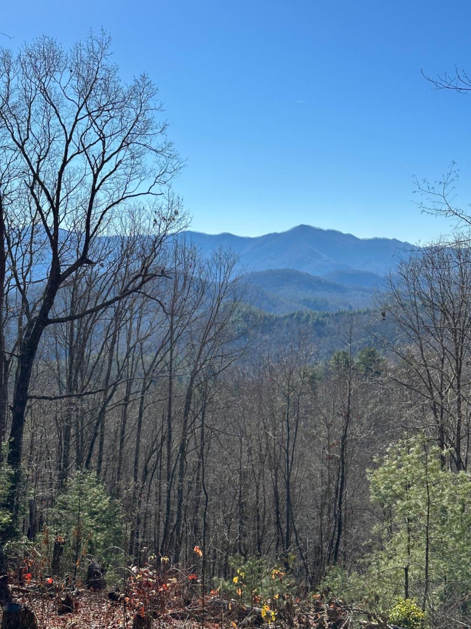 Stunning Views, Superb Atmosphere, Modern Amenities, In The Middle Of Nature Bryson City Buitenkant foto